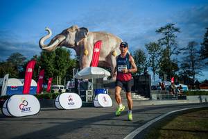 BIB: 
                            <button type="button" onclick="openModal(26541603)" class="btn btn-primary btn-sm float-right btn-popup" data-toggle="modal" data-target=".modal-high-quality">
                        <i class="fas fa-shopping-cart"></i> Add to Cart
                    </button>
                                            <button type="button" onclick="isThisMe(26541603, true)" class="btn btn-success btn-sm float-right btn-popup btn-isme hidden" data-toggle="tooltip" data-placement="bottom" title="นี่คือรูปของคุณใช่ไหม คลิกที่นี่เพื่อเอาเข้าอัลบั้ม">
                        <i class="fas fa-plus"></i> Add to album
                    </button>
                    <button type="button" onclick="isThisMe(26541603, false)" class="btn btn-warning btn-sm float-right btn-popup btn-isnotme hidden">
                        <i class="fas fa-ban"></i> Remove from album
                    </button>